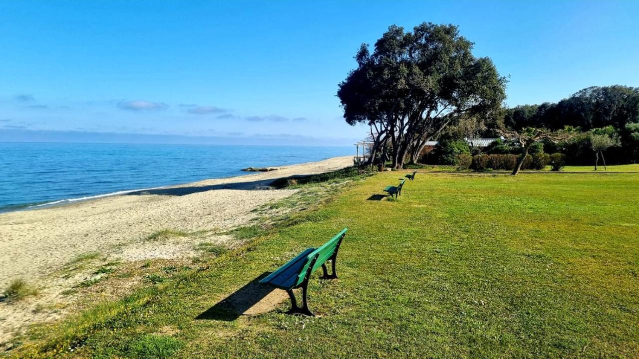 Maison U Nidu A 500M De La Mer 세르비온 외부 사진